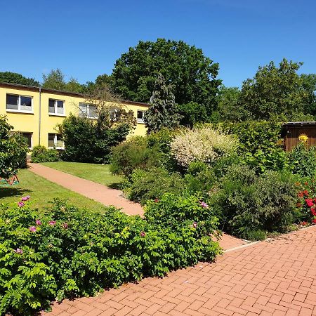 Ferienwohnung Ruegen In Samtens Zewnętrze zdjęcie
